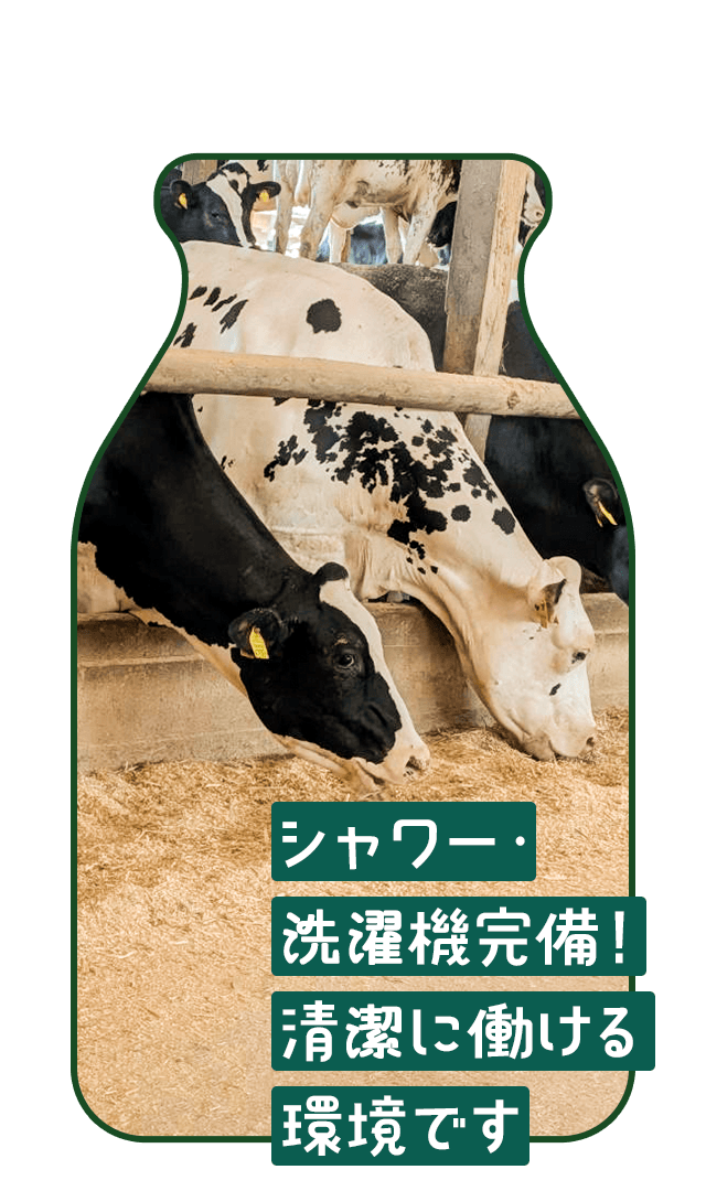 シャワー・洗濯機完備！清潔に働ける環境です